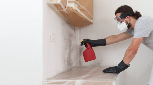 Professional Mold Removal technician working in Haddonfield, NJ