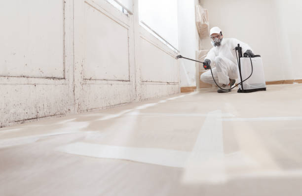 24/7 Emergency Mold Removal experts in Haddonfield, NJ