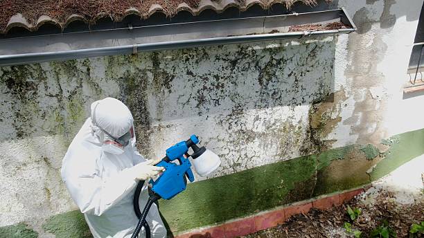 Top rated local Mold Removal specialists in Haddonfield, NJ